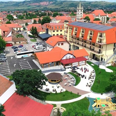 Hotel Leul De Aur Sebeş Dış mekan fotoğraf