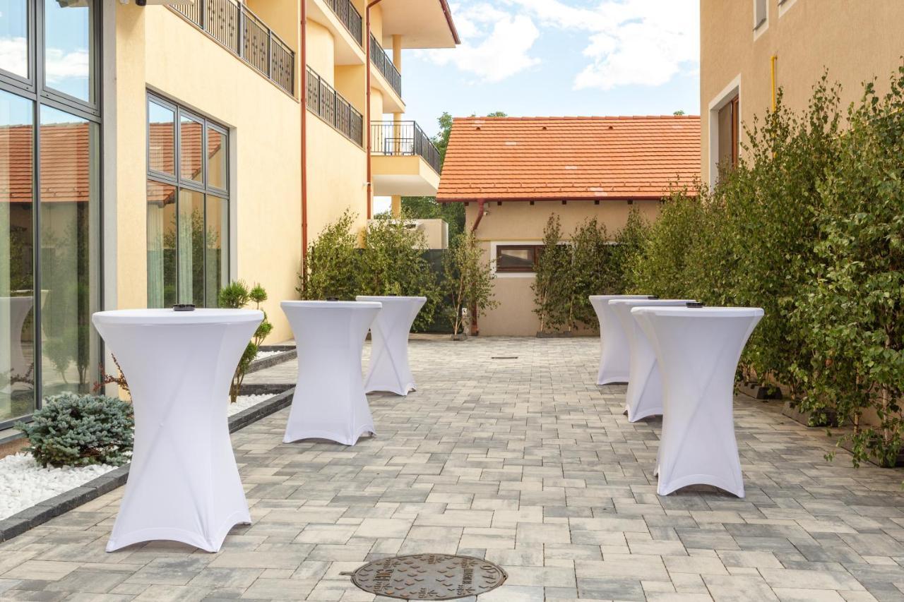 Hotel Leul De Aur Sebeş Dış mekan fotoğraf