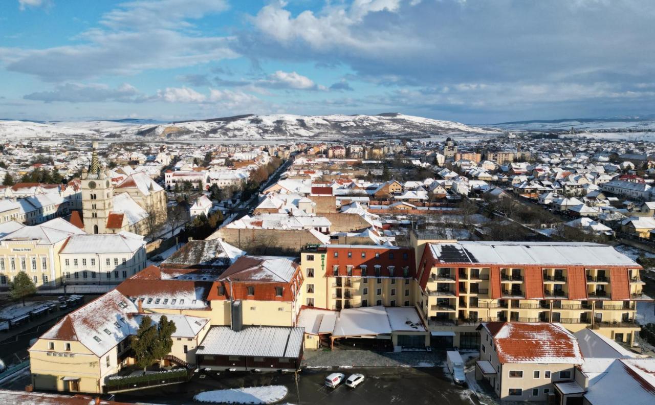 Hotel Leul De Aur Sebeş Dış mekan fotoğraf