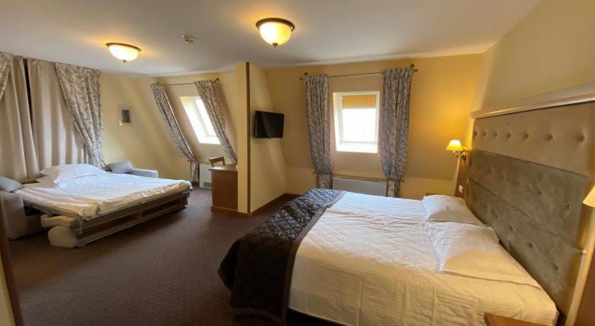 Hotel Leul De Aur Sebeş Dış mekan fotoğraf
